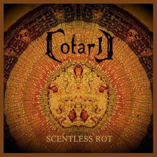 Cotard